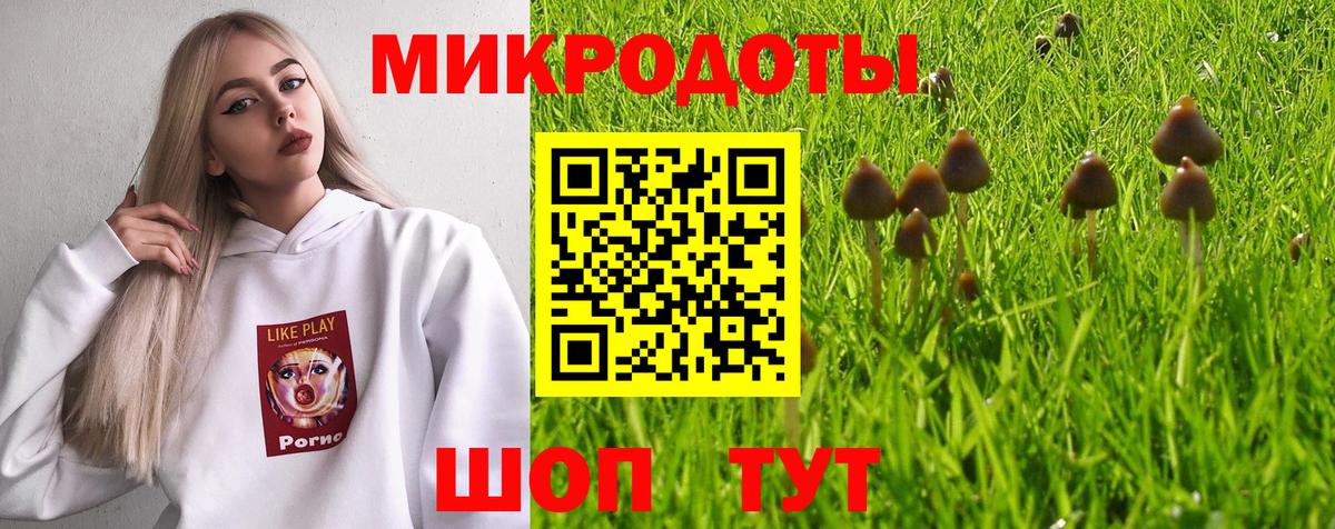 Сердобск  Галлюциногенные грибы Cubensis  хочу наркоту  Вход с VPN 